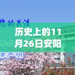 第2433页