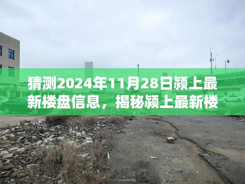 雍容典雅 第4页