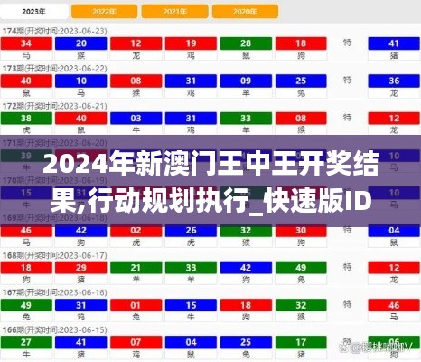 2024年新澳门王中王开奖结果,行动规划执行_快速版IDT99.487