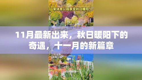 贵极人臣 第4页