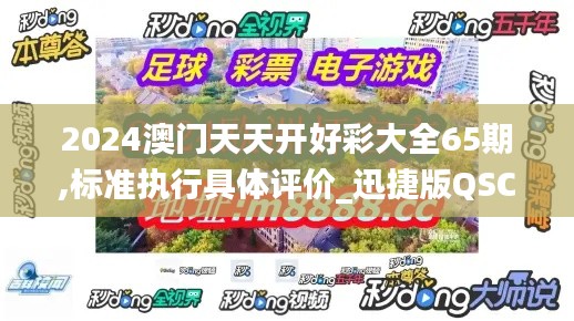 2024澳门天天开好彩大全65期,标准执行具体评价_迅捷版QSC33.672