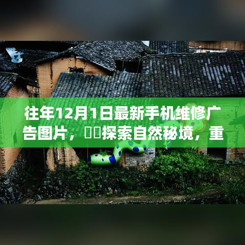 漫天飞舞 第4页