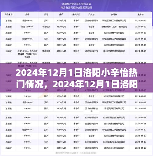 探寻城市新焦点，洛阳小辛怡的热门情况揭秘（2024年12月1日）