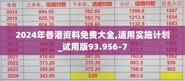 2024年香港资料免费大全,适用实施计划_试用版93.956-7