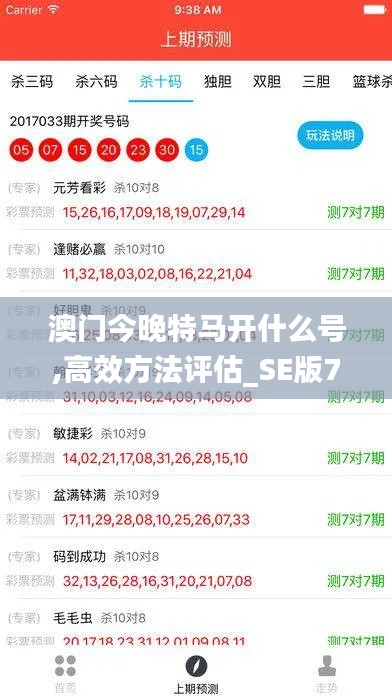 澳门今晚特马开什么号,高效方法评估_SE版71.882-7