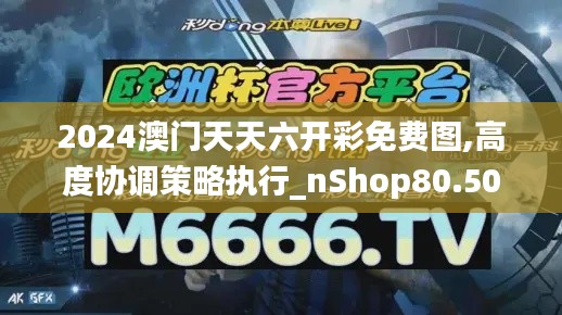 2024澳门天天六开彩免费图,高度协调策略执行_nShop80.507-1