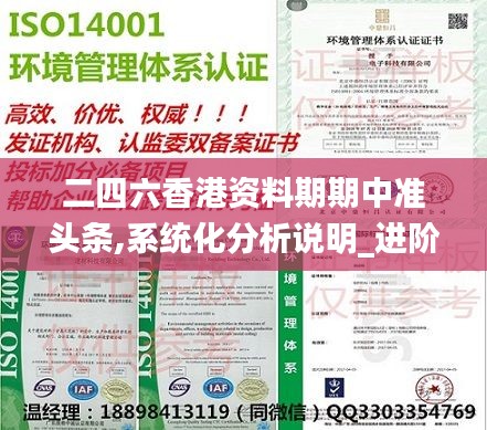 二四六香港资料期期中准头条,系统化分析说明_进阶款38.330-8