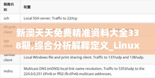新澳天天免费精准资料大全338期,综合分析解释定义_Linux20.977-3