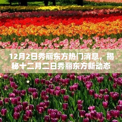 第2231页