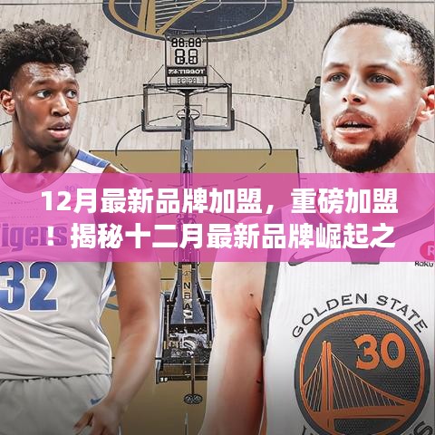 揭秘十二月最新品牌加盟热潮，品牌崛起之路重磅开启！