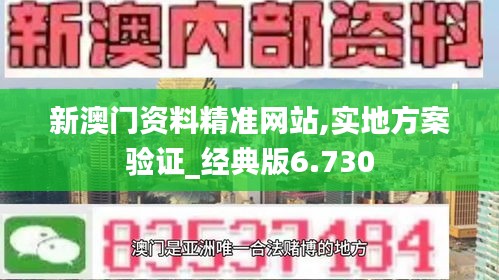 新澳门资料精准网站,实地方案验证_经典版6.730