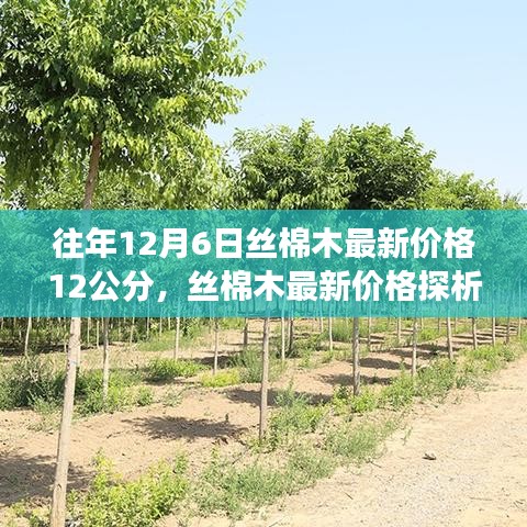 丝棉木最新价格动态,以十二月六日为观察点的丝棉木价格探析及历年趋势分析(附详细价格表)