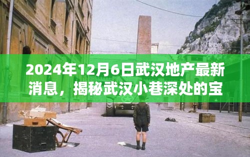 揭秘武汉小巷深处的宝藏小店，2024年武汉地产最新风情一览