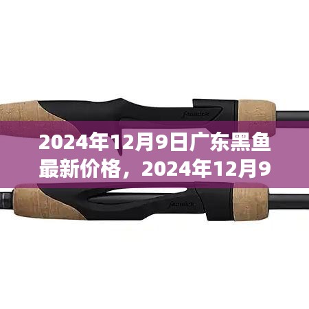 广东黑鱼最新价格及市场分析（2024年12月9日）