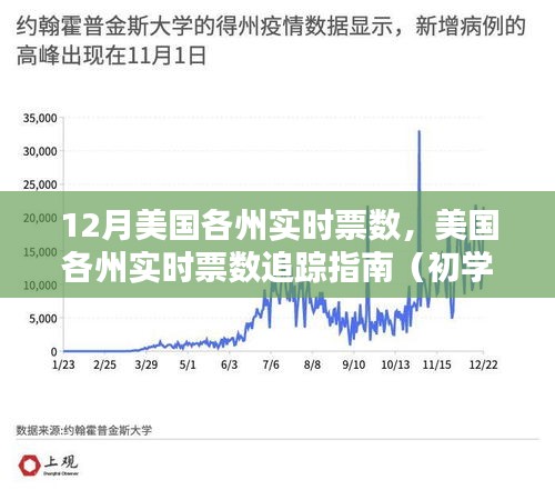 美国各州实时票数追踪指南，从初学者到进阶用户的实用指南