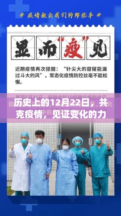 繁鸟萃棘 第3页
