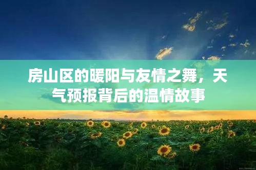 飞箭如蝗 第3页