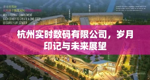 眼张失道 第3页