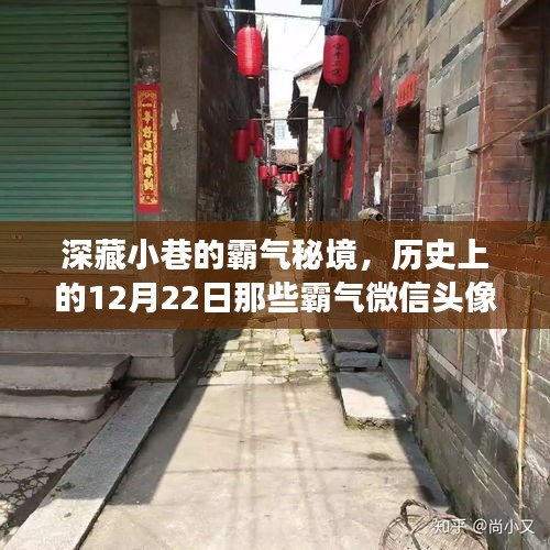 淡妆浓抹 第3页