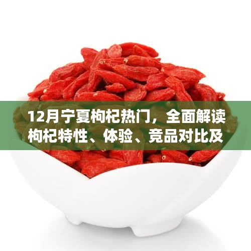 特性分析