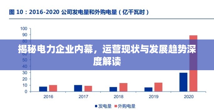 揭秘电力企业内幕，运营现状与发展趋势深度解读