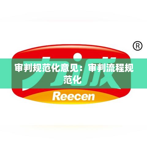 审判规范化意见：审判流程规范化 