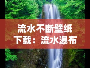 贵戚之卿 第3页