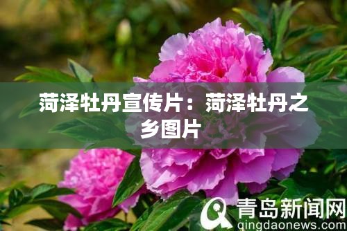 映月读书 第2页
