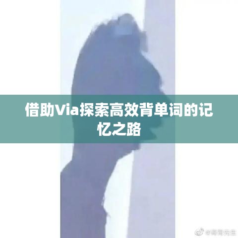 借助Via探索高效背单词的记忆之路