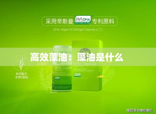 高效藻油：藻油是什么 