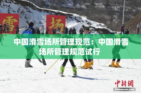 纲挈目张 第2页