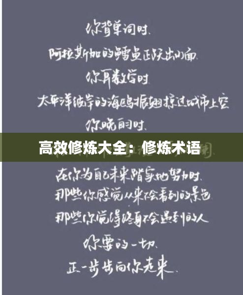 高效修炼大全：修炼术语 