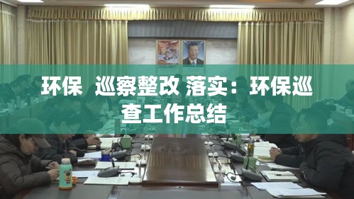环保  巡察整改 落实：环保巡查工作总结 