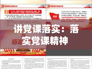 讲党课落实：落实党课精神 