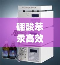 硼酸苯汞高效液相色谱仪：硼酸液相检测 