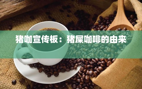 噩噩浑浑 第3页