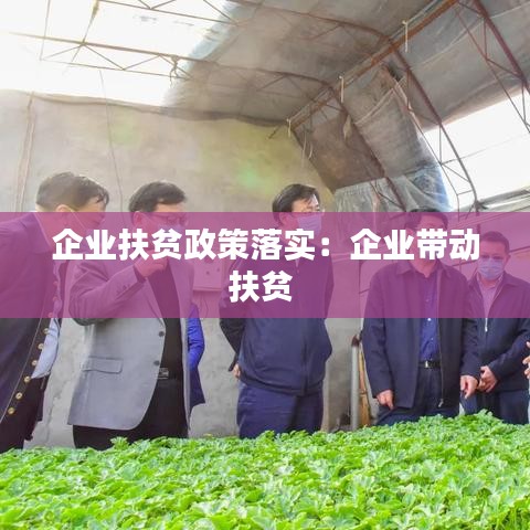 企业扶贫政策落实：企业带动扶贫 