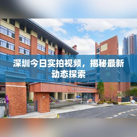 手舞足蹈 第2页