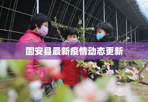 固安县最新疫情动态更新