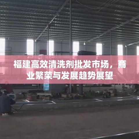 福建高效清洗剂批发市场，商业繁荣与发展趋势展望