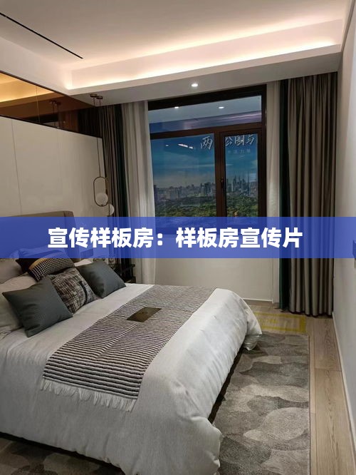 宣传样板房：样板房宣传片 