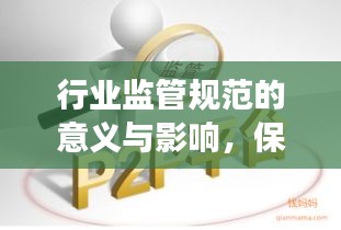 行业监管规范的意义与影响，保障秩序，促进持续发展