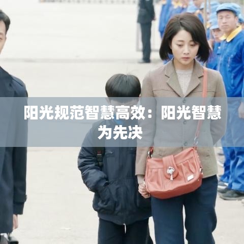 阳光规范智慧高效：阳光智慧为先决 