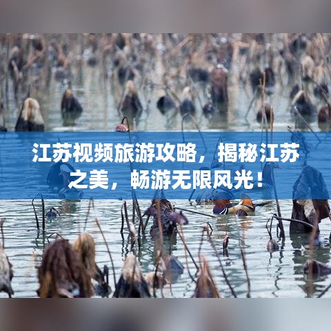 江苏视频旅游攻略，揭秘江苏之美，畅游无限风光！