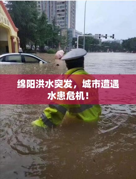 撺哄鸟乱 第3页