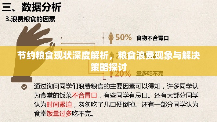 节约粮食现状深度解析，粮食浪费现象与解决策略探讨