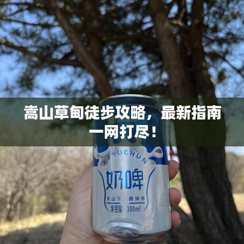 嵩山草甸徒步攻略，最新指南一网打尽！