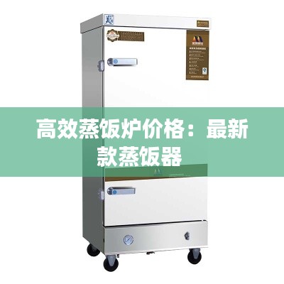 高效蒸饭炉价格：最新款蒸饭器 