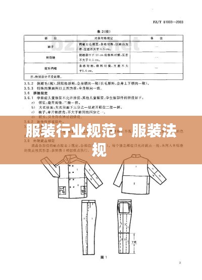 服装行业规范：服装法规 