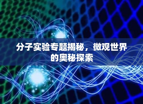 口若悬河 第2页